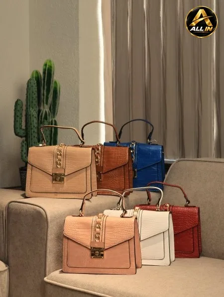 شنطة ALDO.