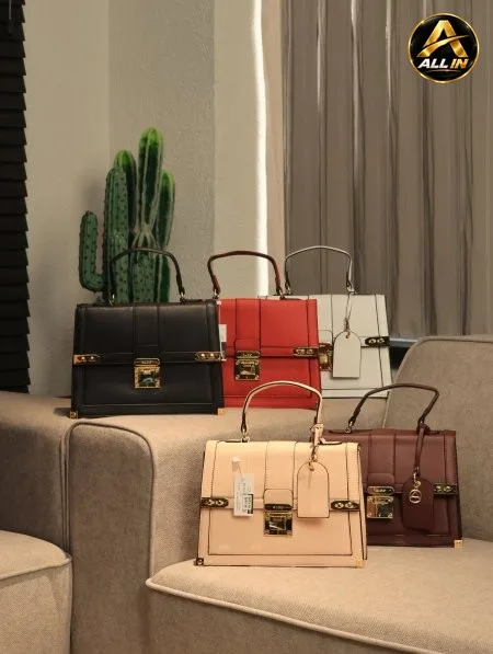 شنطة ALDO.