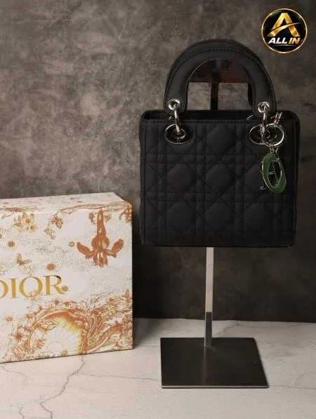 شنطة نسائية DIOR.