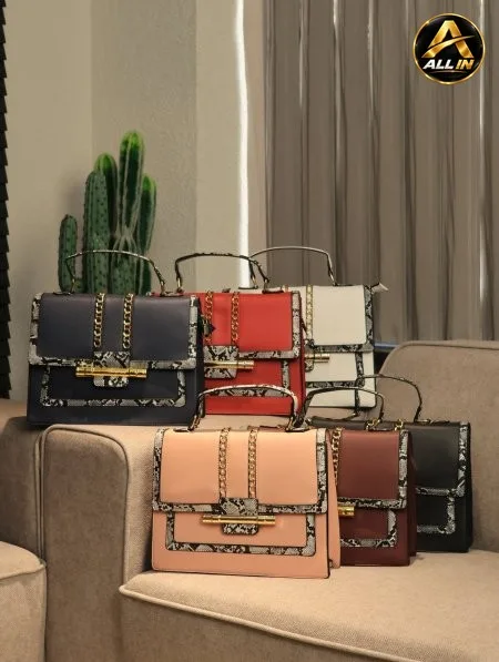 شنطة ALDO.