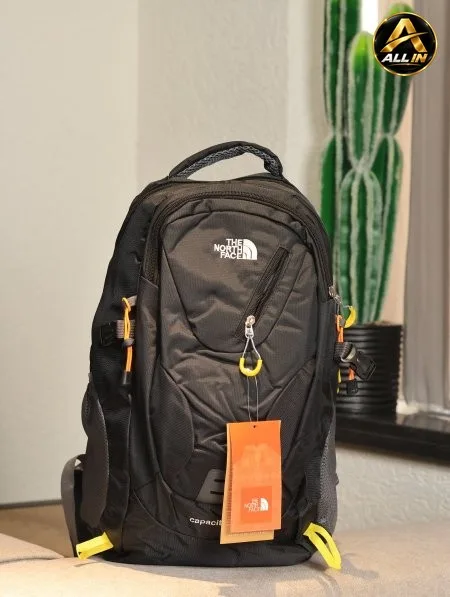شنطة ظهرTHE NORTH FACE.