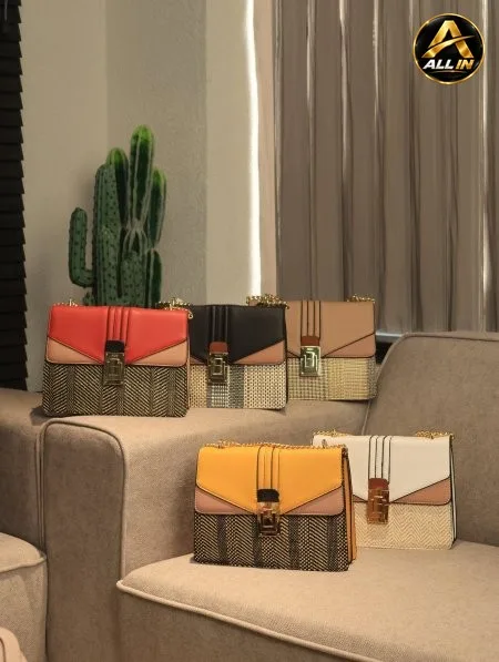 شنطة ALDO.