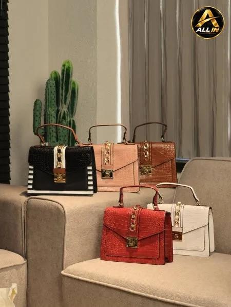 شنطة ALDO.